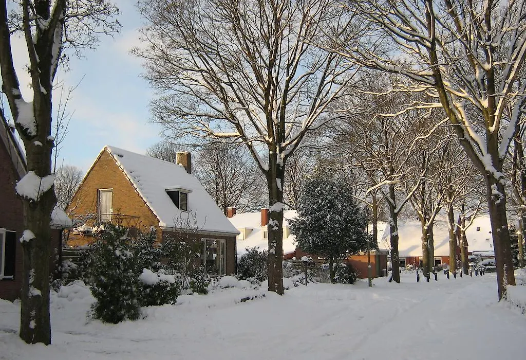 B&B De Esdoorn-1