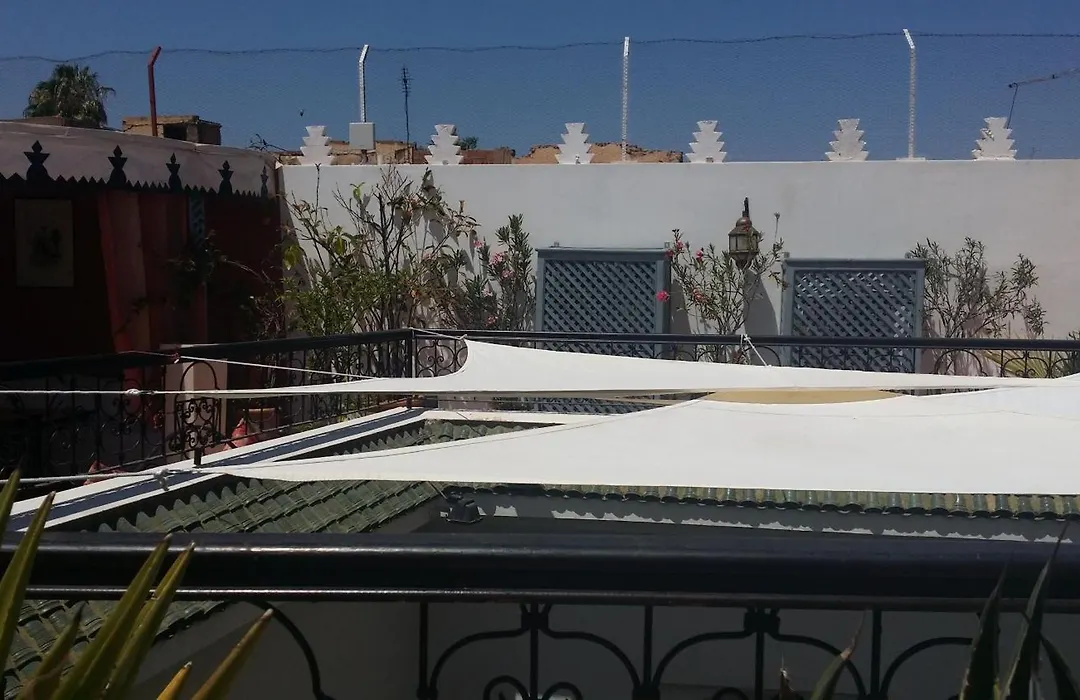 Riad Alida-1