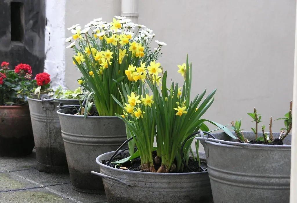 B&B Singel 100-1