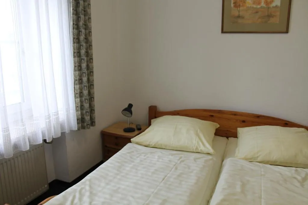 Pension Locarno-1