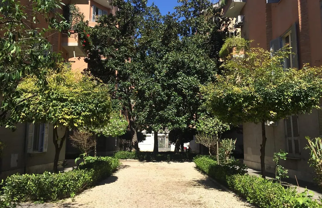 Dhome B&B-1