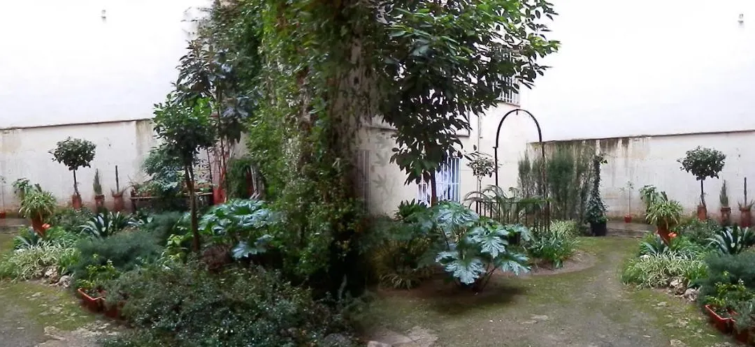 Hostal Del Pez Azul-1