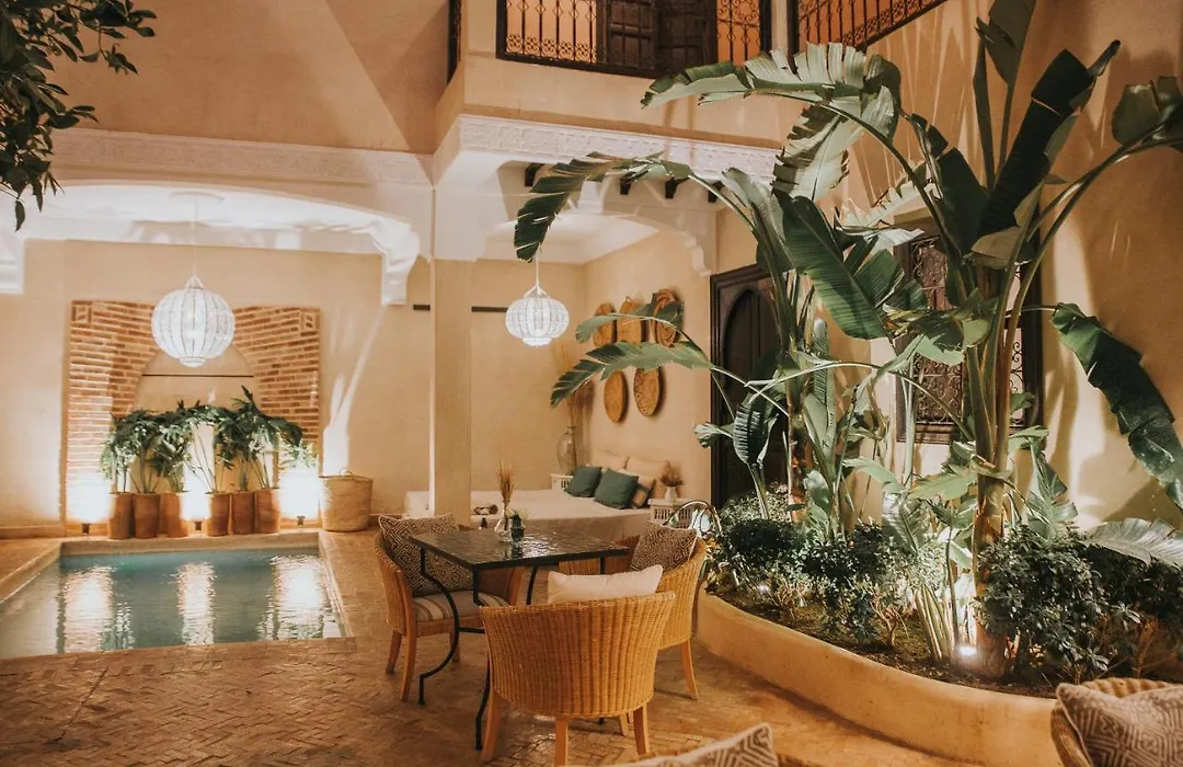 Riad L'Oiseau Du Paradis-1