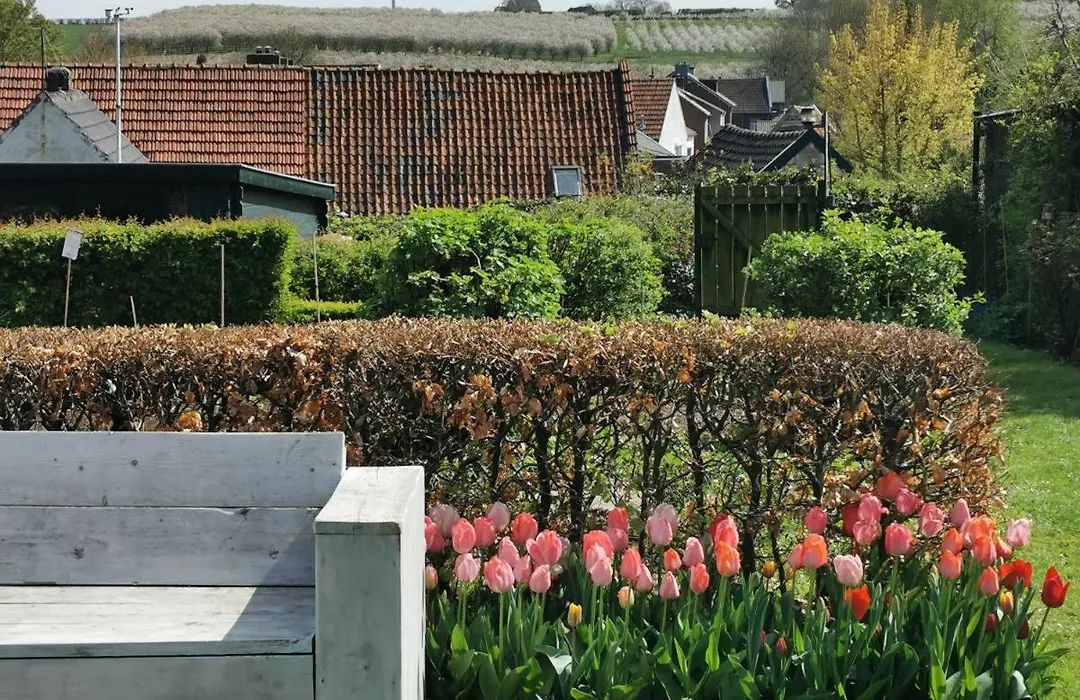 Bed en Breakfast Hof van Wolder-1