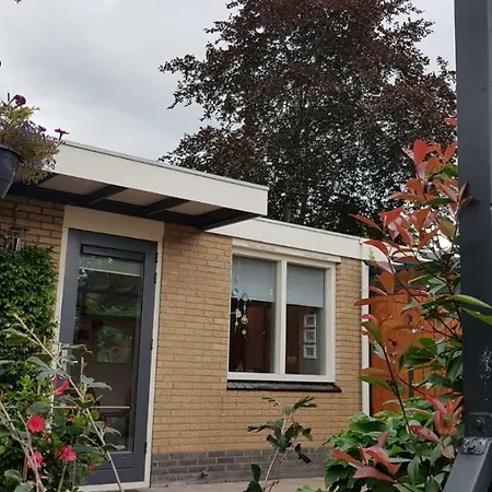 Achter de Beukenboom-3