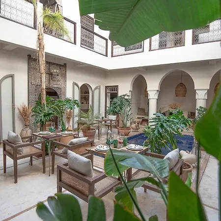 Riad Farhan-2