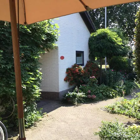 B&B Bosrand-3
