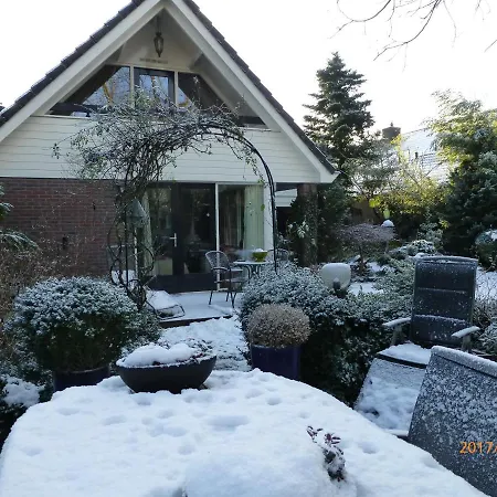 Wiersse 68-3