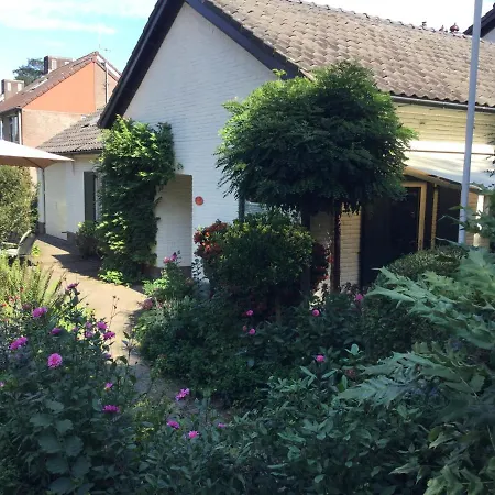 B&B Bosrand-2