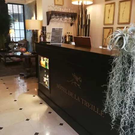 Hotel De La Treille-3