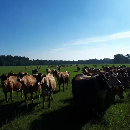 De Hammerhoeve-3