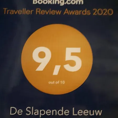 De Slapende Leeuw-3