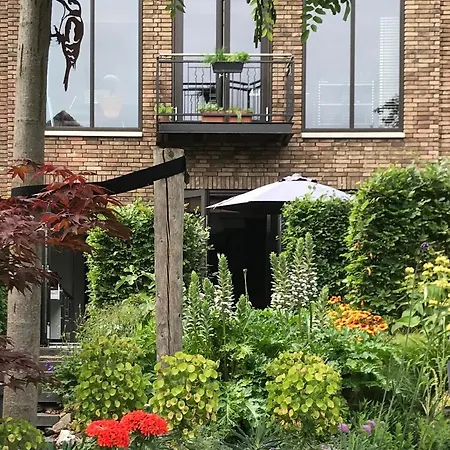 Arthouse Dordrecht-2