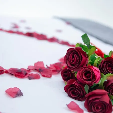 Love Suite Roma - Il Nido D'Amore-2