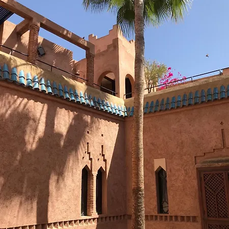 Riad Zahir-3