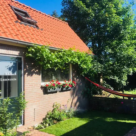 B&B Larenstein logeren in een tiny house-3