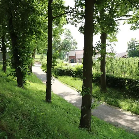 Luxe B&B Vroelen-Noorbeek-3