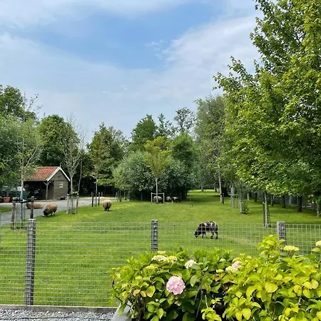 Flora'S B&B-2