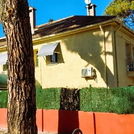 Hostal Aravaca Garden-3