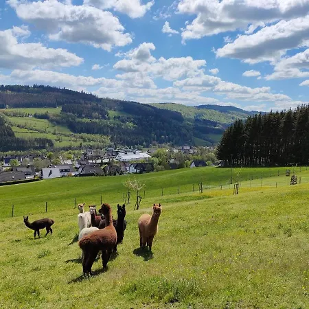 Pension Sauerland-3