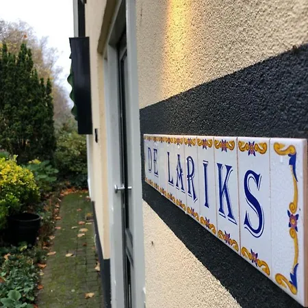De Lariks-2