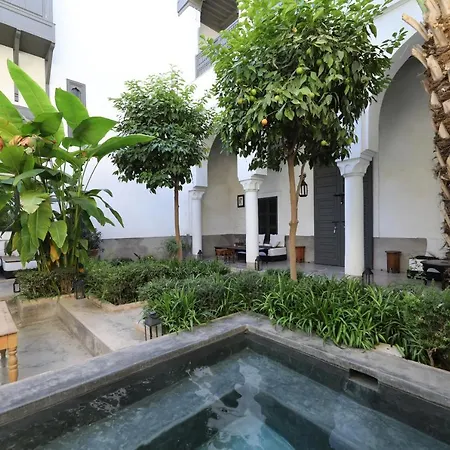 Riad Zaouia 44-3