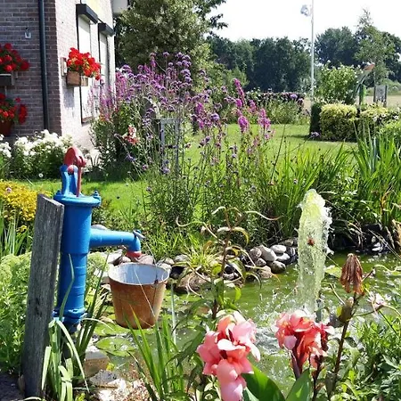B&B Veluwemeerpension-2