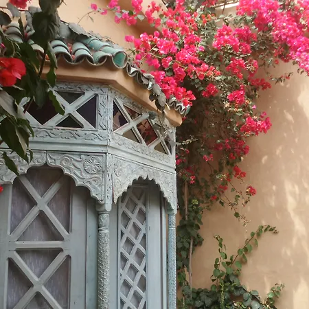 Riad Armelle-2