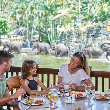 Mason Elephant Lodge-2