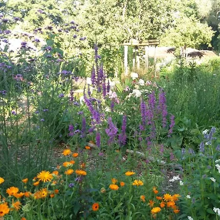 De Geheime Tuin - Boshuis-2