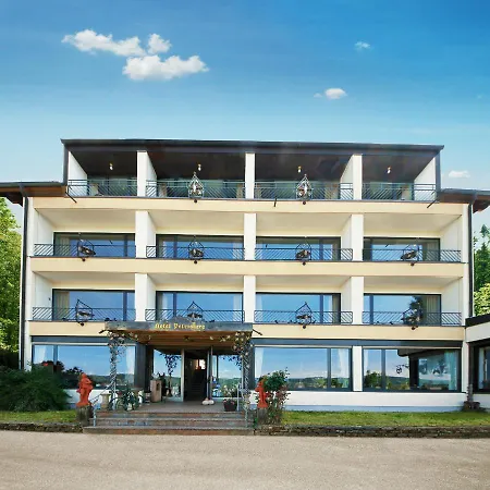 Vintage Hotel Petrisberg-3