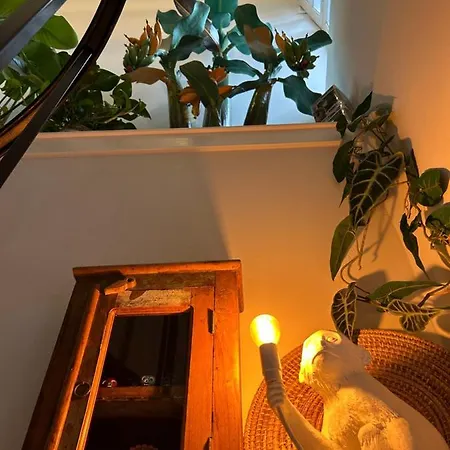 Monkey Tree Stay-2