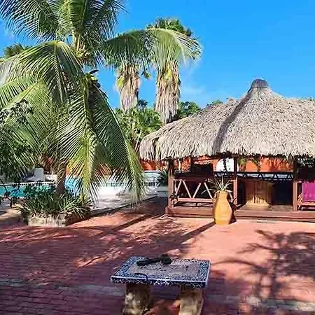 Woodstock Palmresort Curacao-3