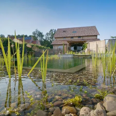 Lavendine Pure Guesthouse-3