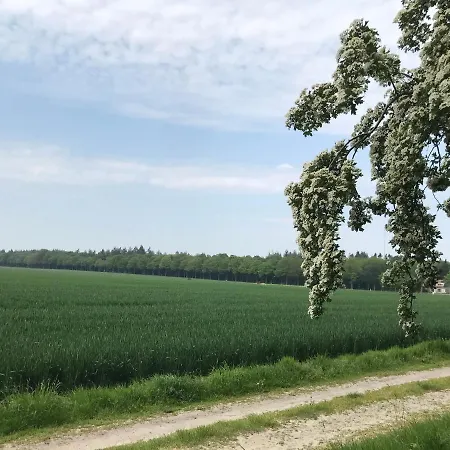 Het Uilennest-3