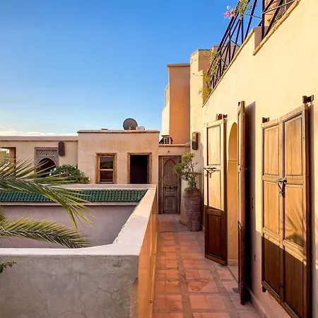 Riad Selouane-2