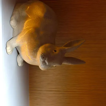 Hotel Le Lapin Blanc-3