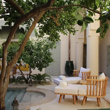 Riad Emberiza Sahari-2