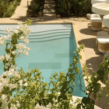Les Palmiers Boutique Hotel & Spa-2