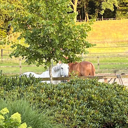 Bed&Breakfast De Paalberg-3