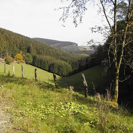 Sonneneck-3