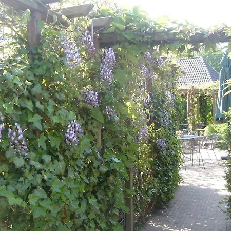 Hotel Norg-2