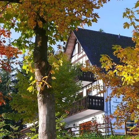 Pension Stiegelmeier-2