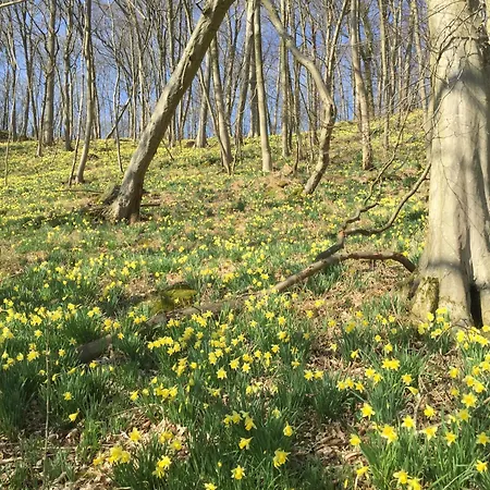Venngasthof Zur Buche-3