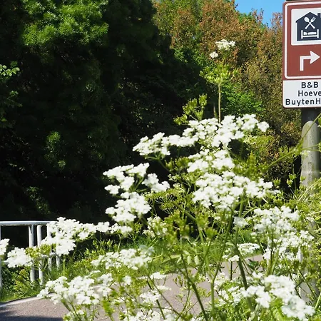 Hoeve BuytenHout-2