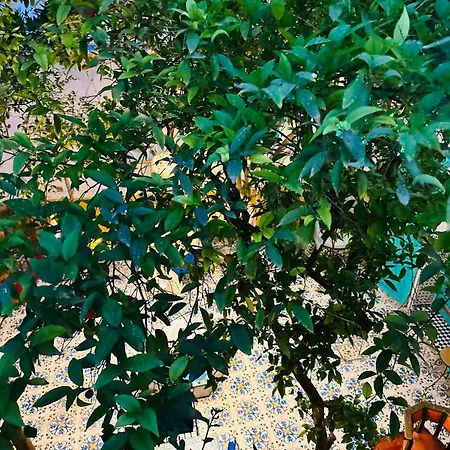 Riad Al Nour-3