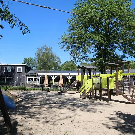 The Willow-3