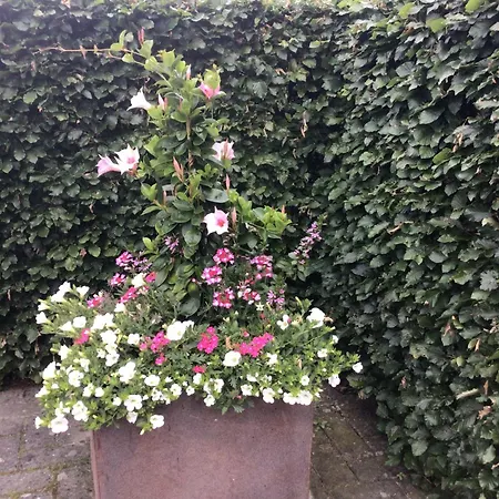 B&B De Veluwe Hoeve-2