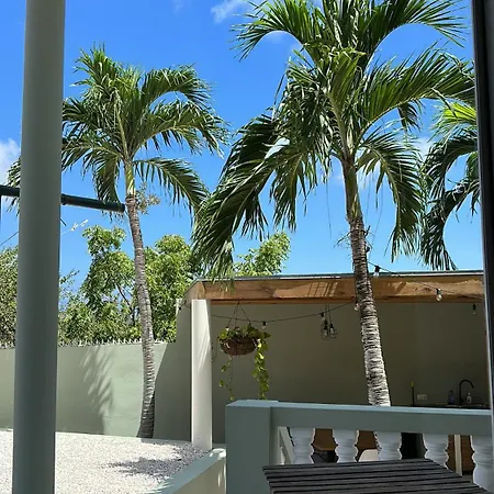 Palm View-2