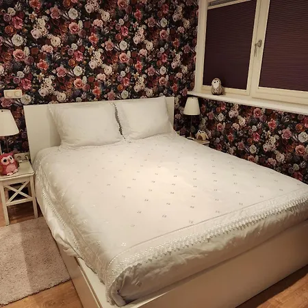 B&B De Drie Uiltjes-2